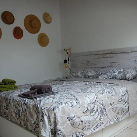 Fleurs Des Champs - Esc'appart *