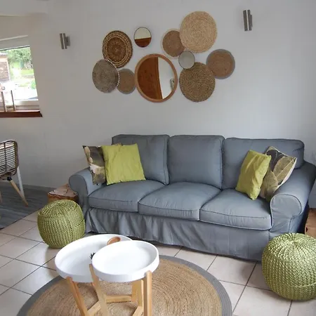 Fleurs Des Champs - Esc'appart Rochefort